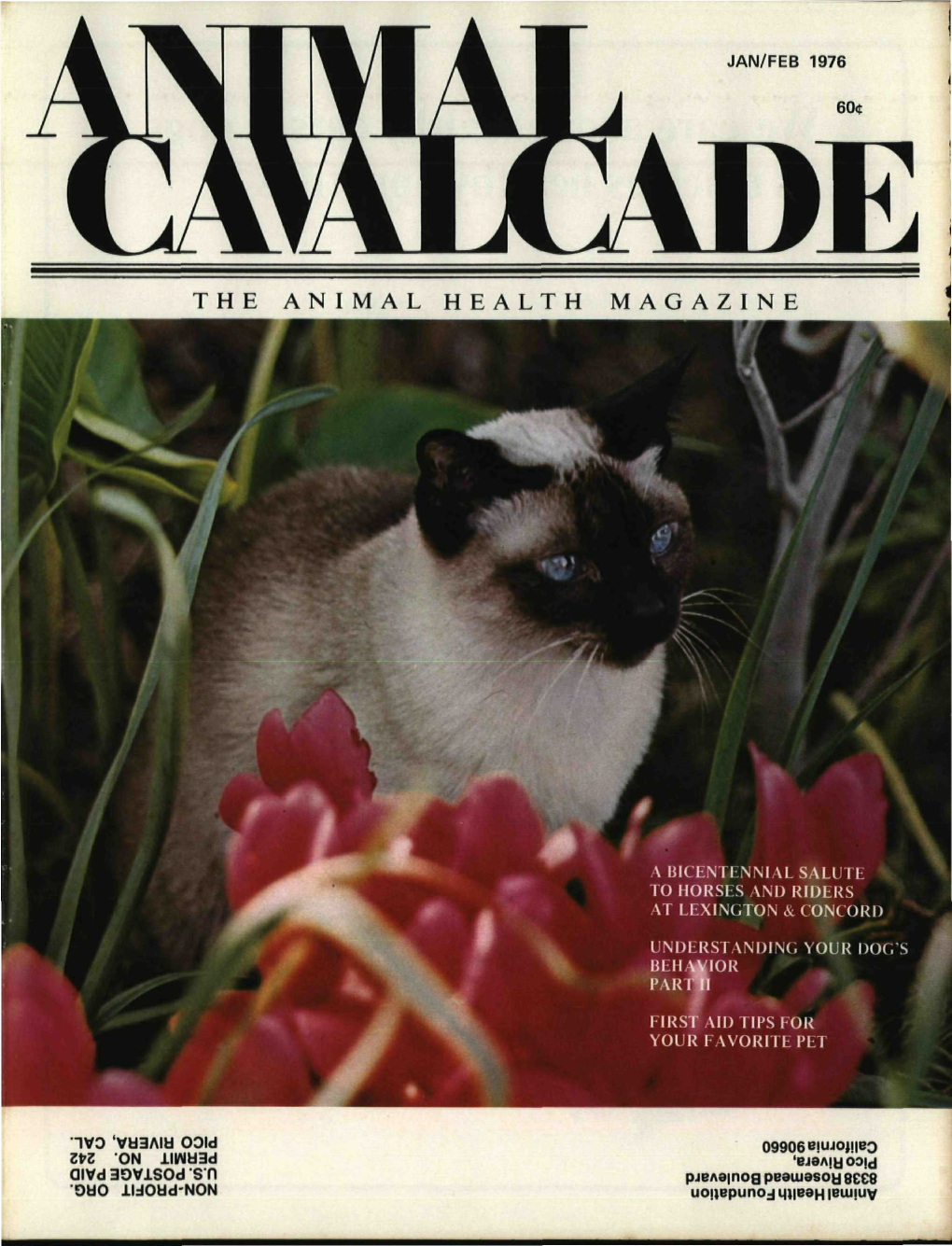 The Animal Health Magazine