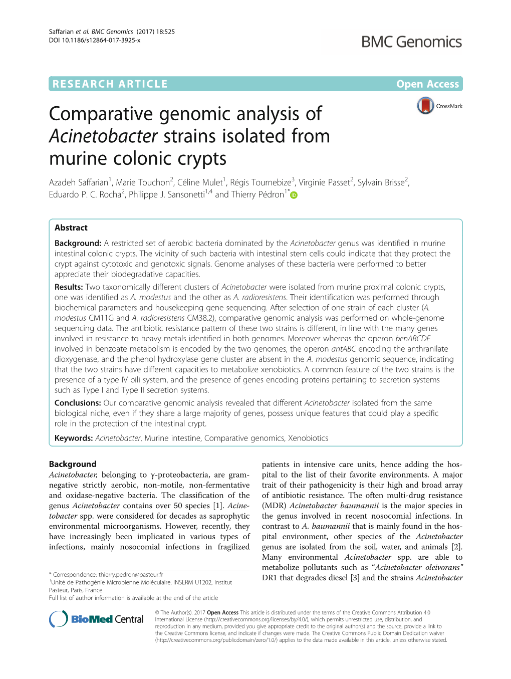 Comparative Genomic Analysis of Acinetobacter Strains Isolated From