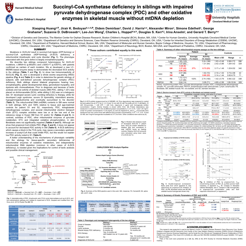 Succinyl-Coa Synthetase Deficiency in Siblings with Impaired Pyruvate Dehydrogenase Complex (PDC) and Other Oxidative