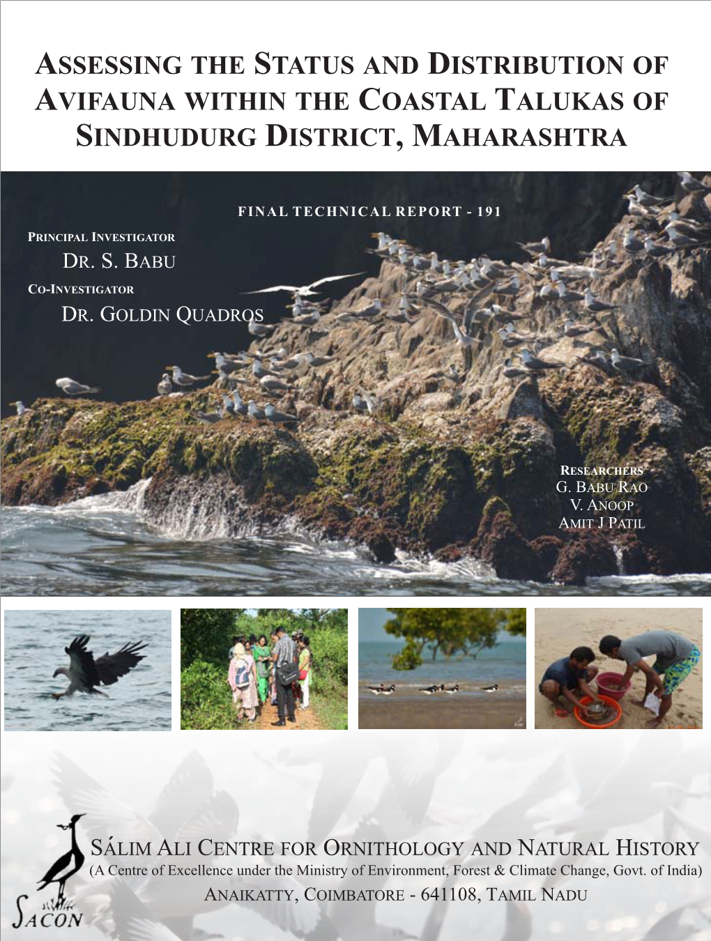 Assessing the Status and Distribution of Avifauna Within the Coastal Talukas of Sindhudurg District, Maharashtra