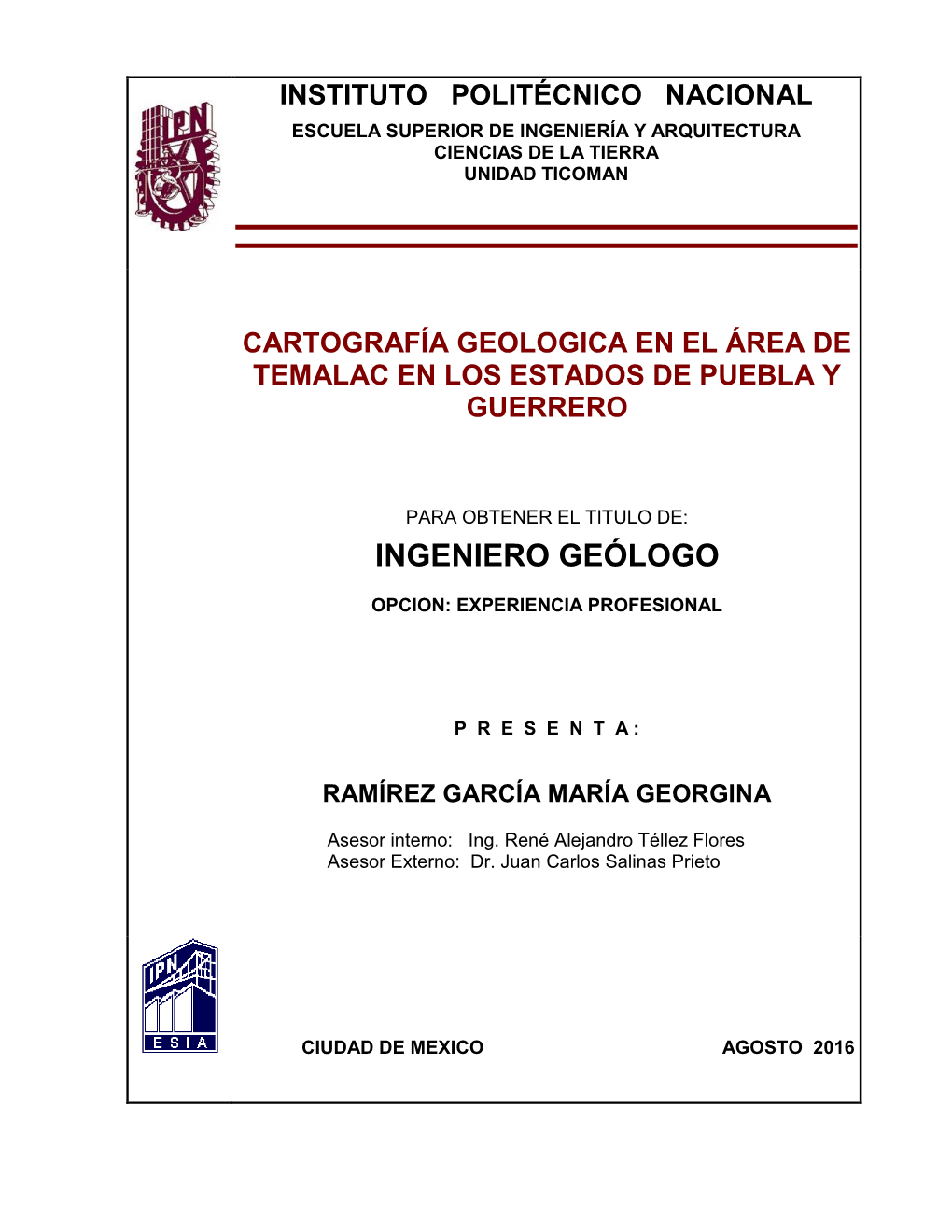 Cartografía Geologica En El Área De Temalac En Los Estados De Puebla Y Guerrero