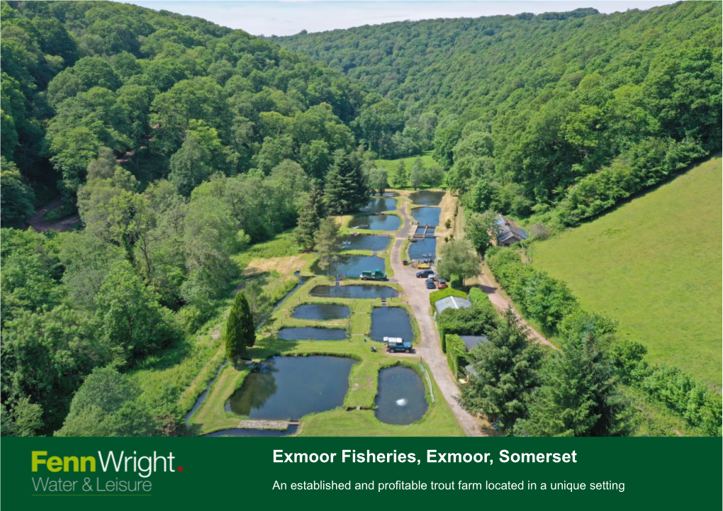 Exmoor Fisheries, Exmoor, Somerset