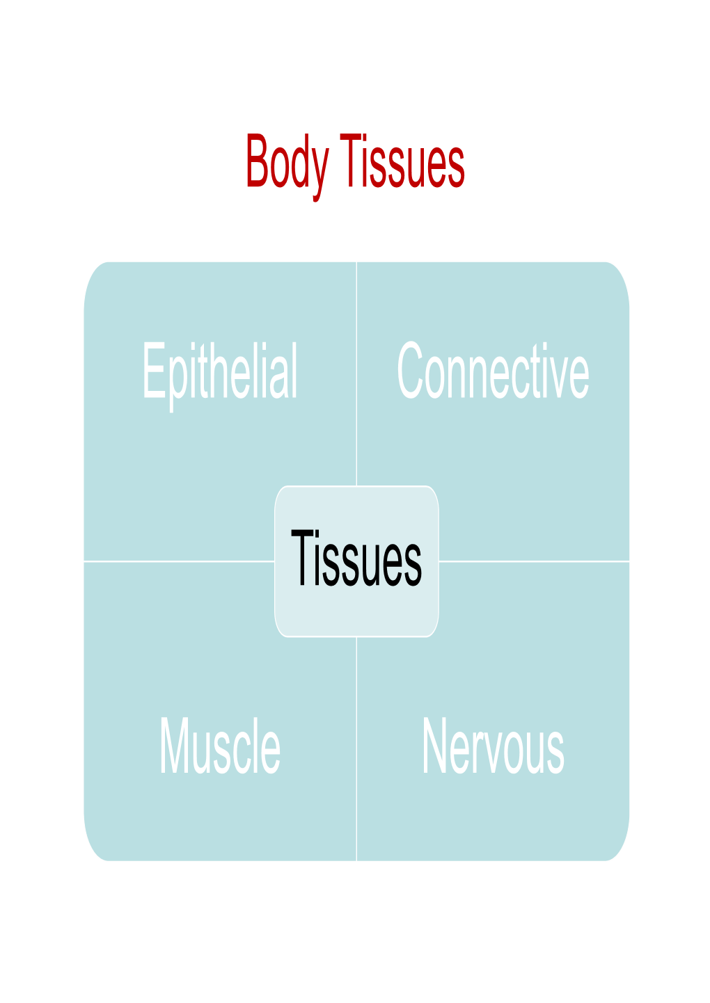 Nervous System -I