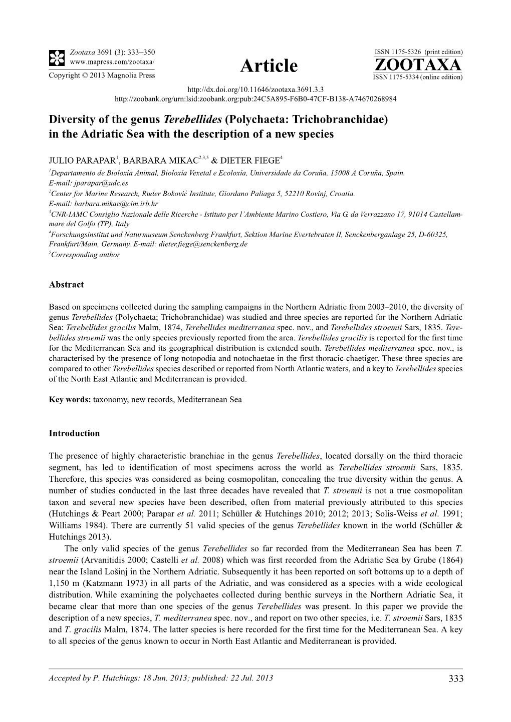 Diversity of the Genus Terebellides (Polychaeta: Trichobranchidae) in the Adriatic Sea with the Description of a New Species