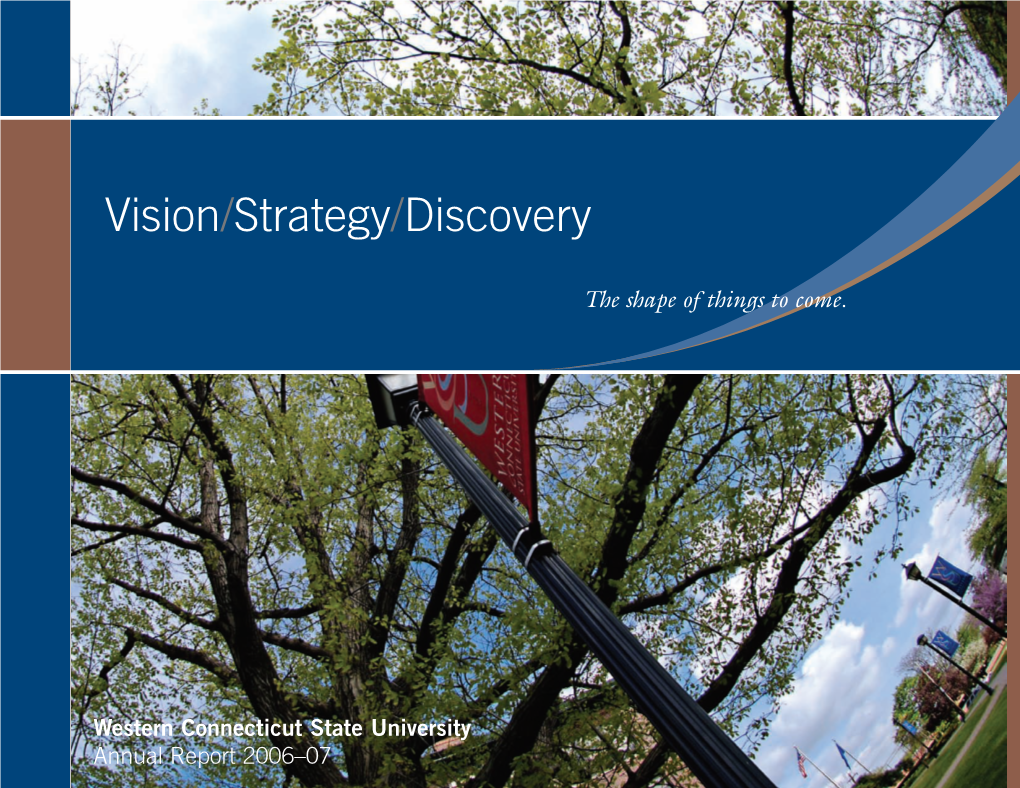 Vision/Strategy/Discovery