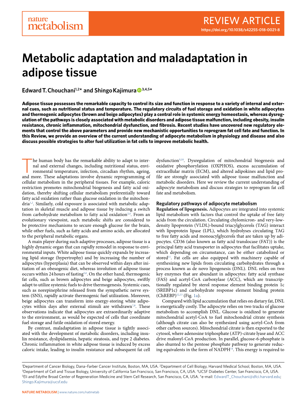 Metabolic Adaptation and Maladaptation in Adipose Tissue