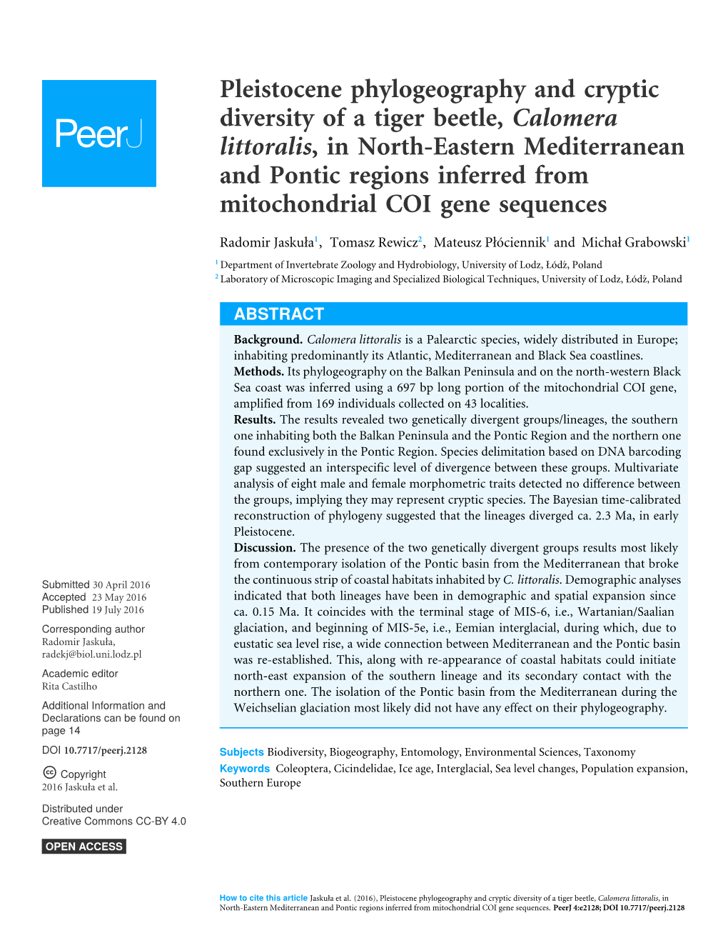 Pleistocene Phylogeography and Cryptic Diversity of a Tiger Beetle