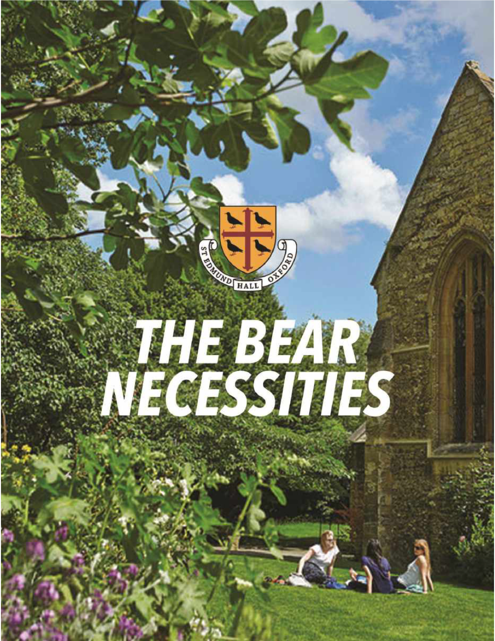 Bear-Necessities-2020-Compressed