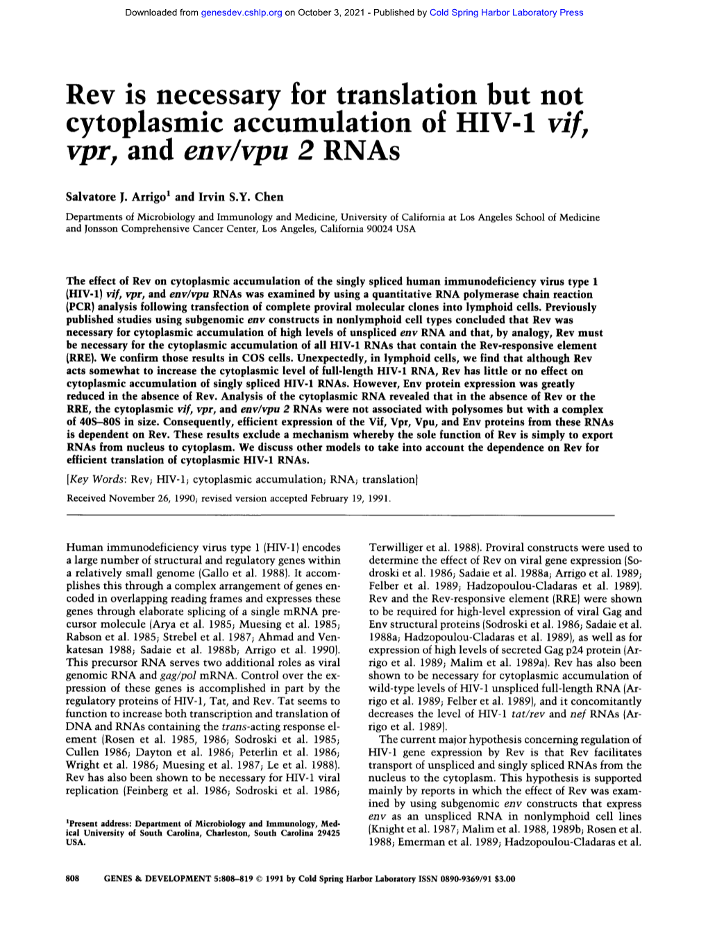 Vpr, and Env/Vpu 2 Rnas