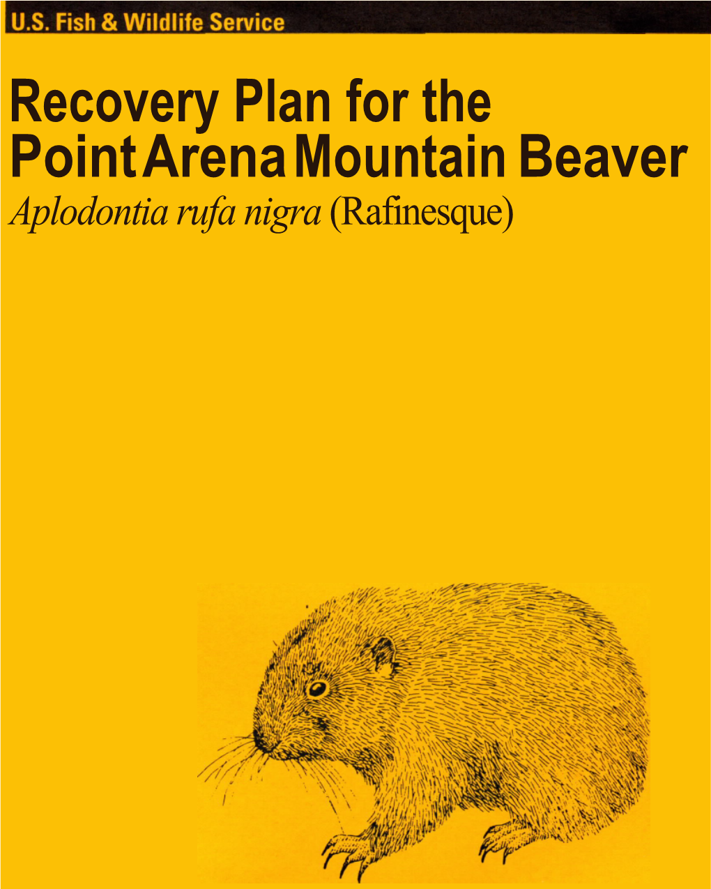 Recovery Plan for the Point Arena Mountain Beaver Aplodontia Rufa Nigra (Rafinesque) POINT ARENA MOUNTAIN BEAVER Aplodontia Ru/A Nigra (Rafinesque) RECOVERY PLAN