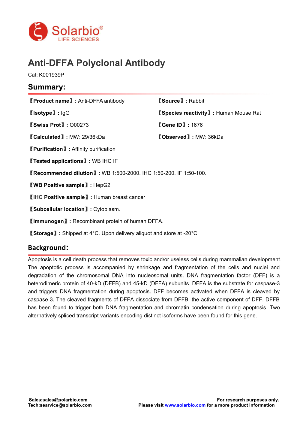 Anti-DFFA Polyclonal Antibody Cat: K001939P Summary