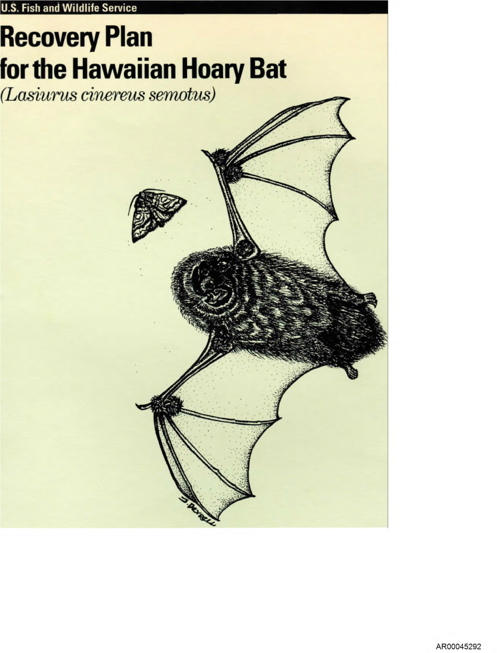 Recovery Plan for the Hawaiian Hoary Bat (L a S U R U S Cinereus Semotus)