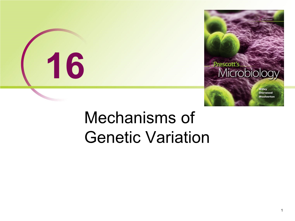 Bacterial Conjugation