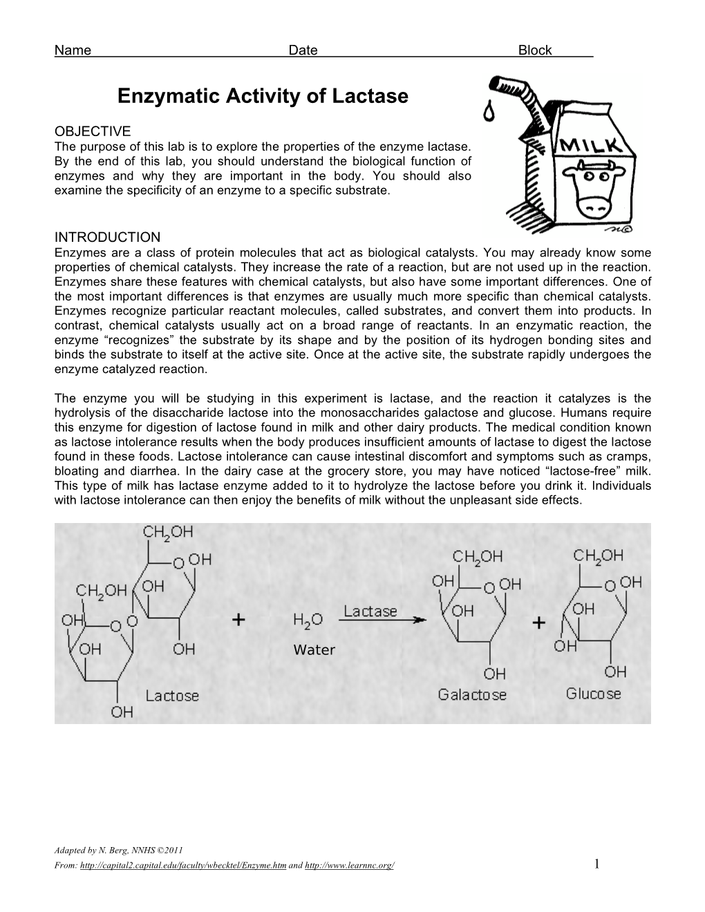 LAB Enzymatic Activity of Lactase