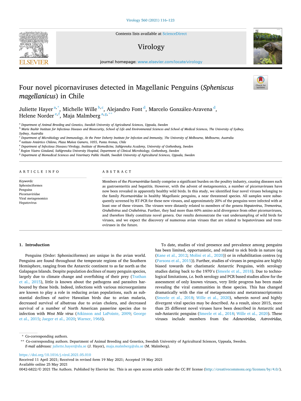 Four Novel Picornaviruses Detected in Magellanic Penguins ( Spheniscus