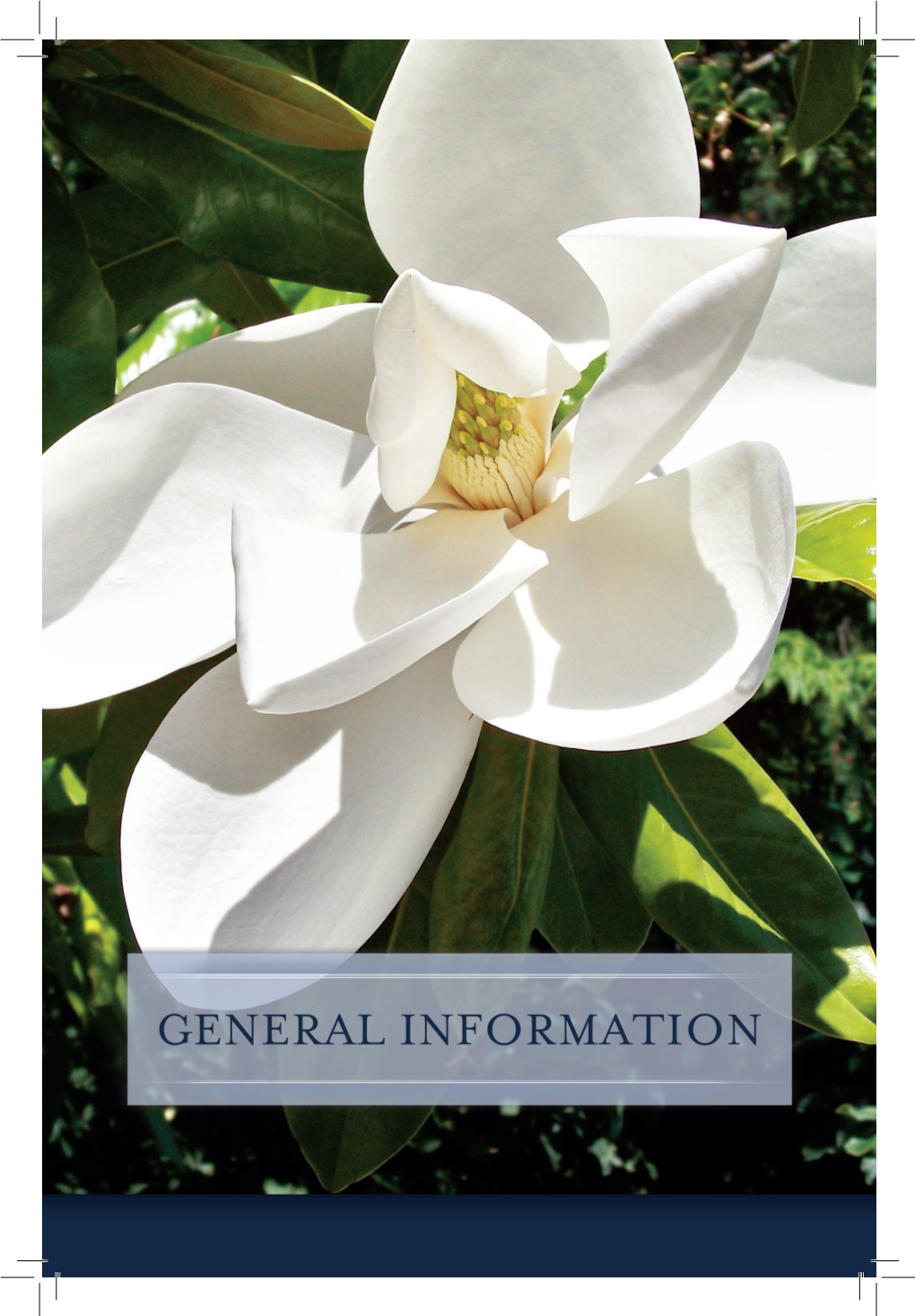 2014 General Information 45-56.Indd