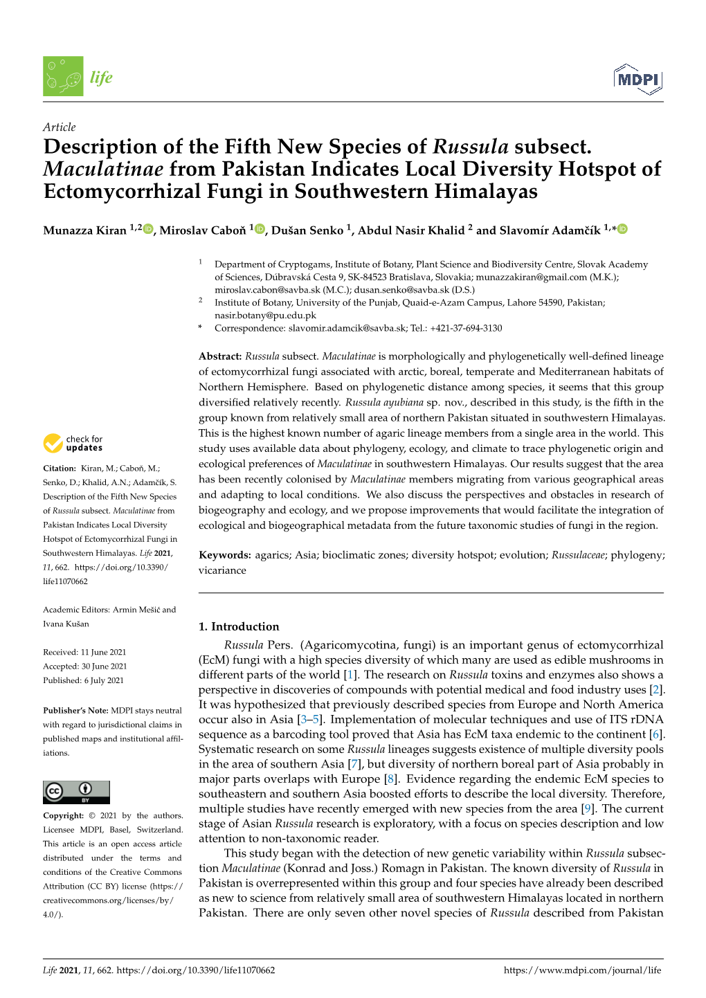 Description of the Fifth New Species of Russula Subsect. Maculatinae From