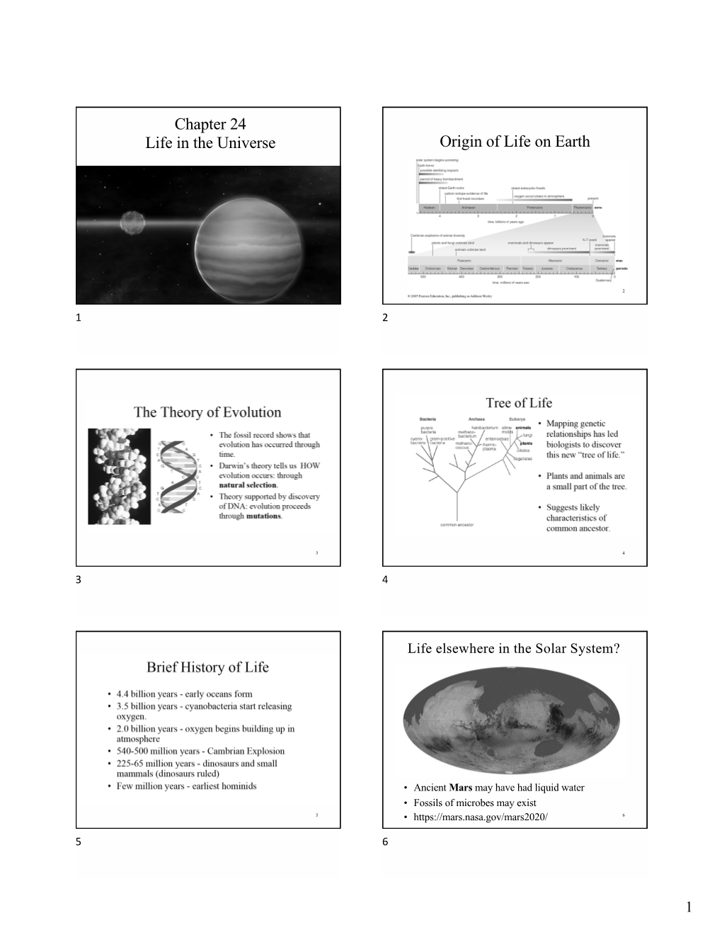 Chapter 24 Life in the Universe Origin of Life on Earth