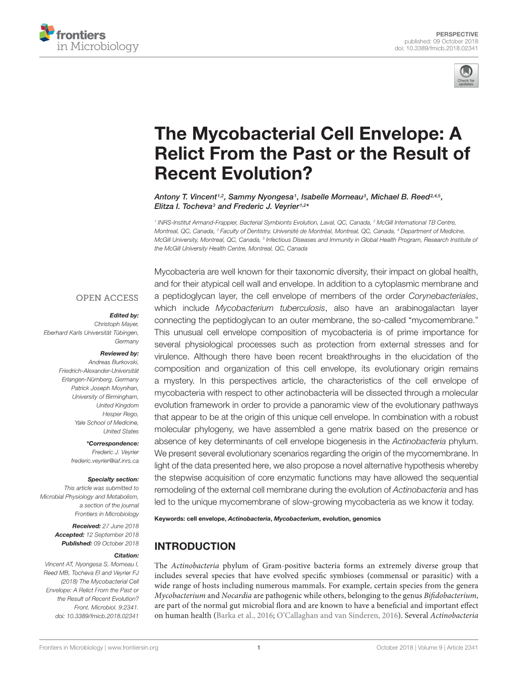 The Mycobacterial Cell Envelope: a Relict from the Past Or the Result of Recent Evolution?