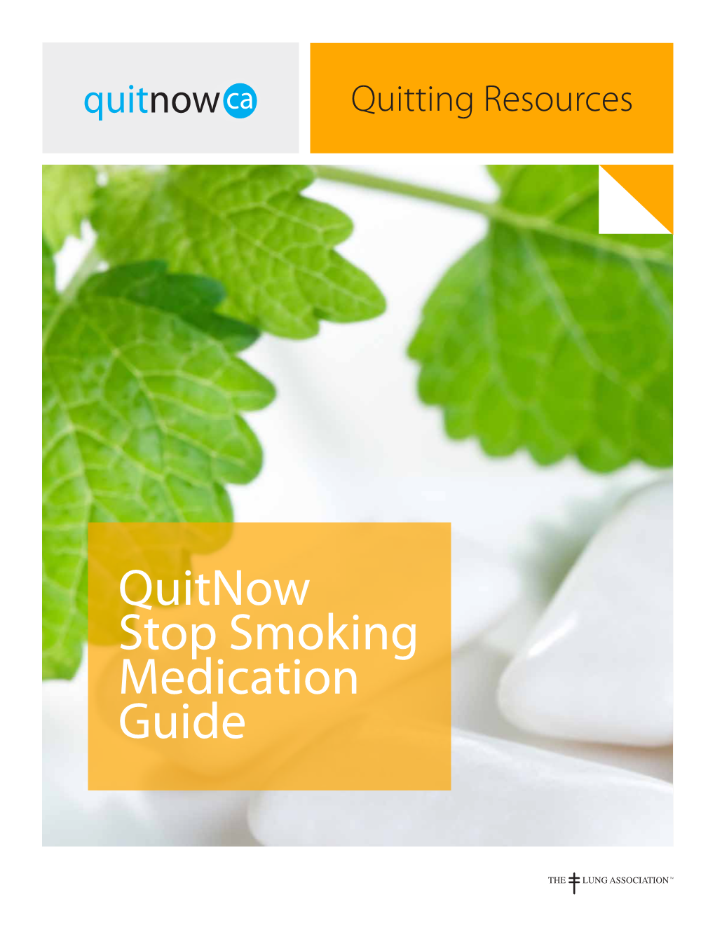 Quitnow Stop Smoking Medication Guide