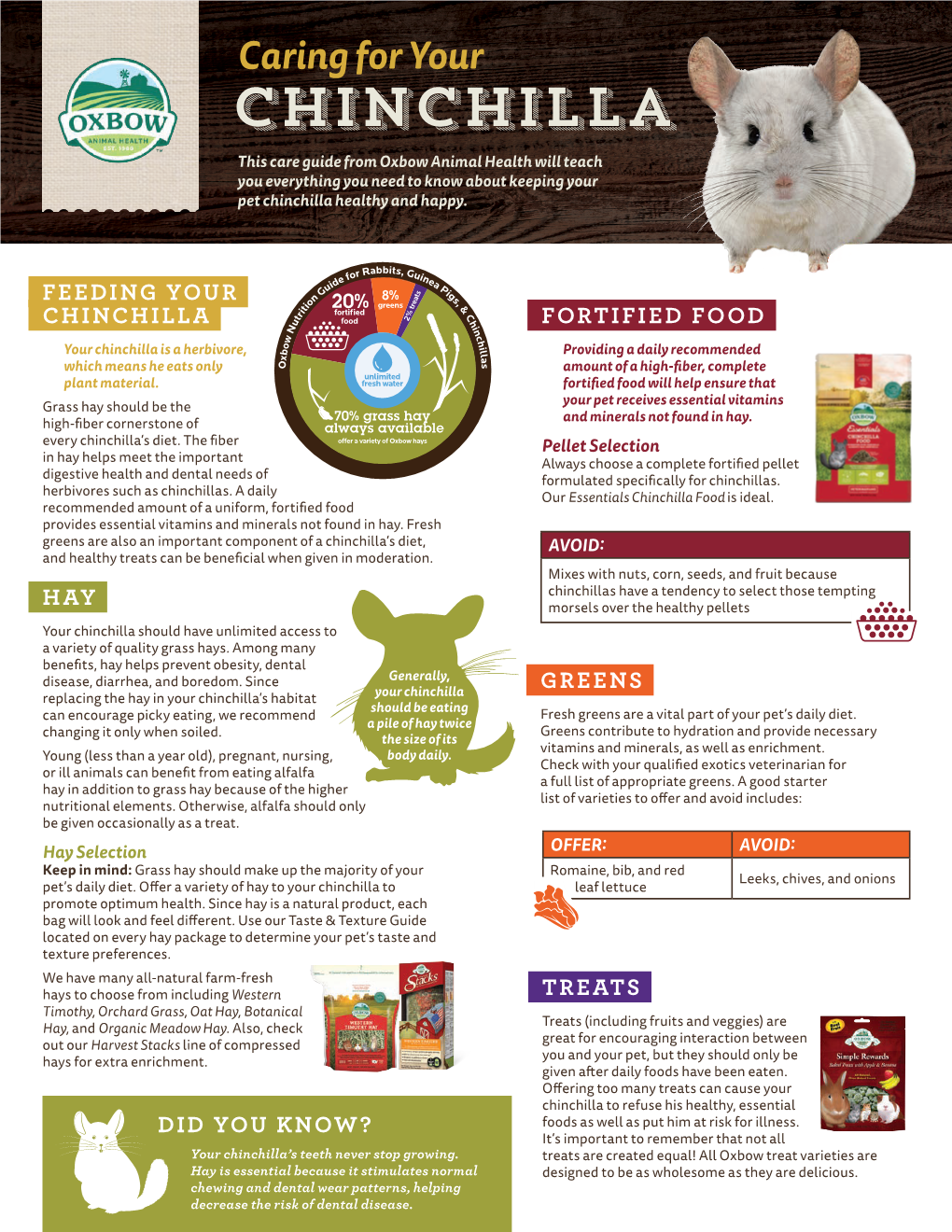 Chinchilla This Care Guide from Oxbow Animal Health Will Teach You Everything You Need to Know About Keeping Your Pet Chinchilla Healthy and Happy