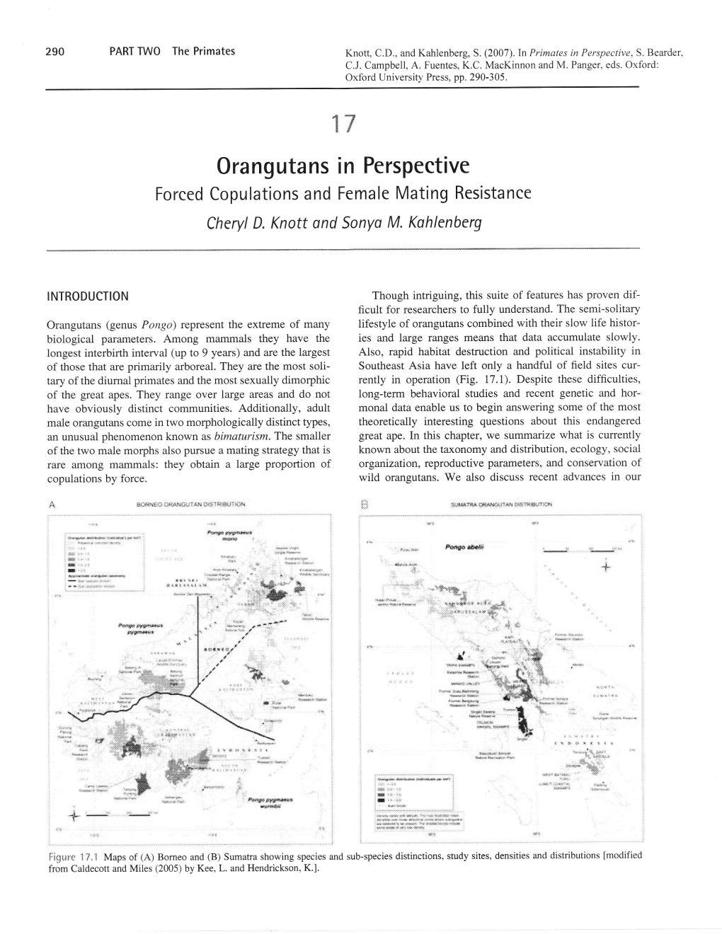 Orangutans in Perspective 291