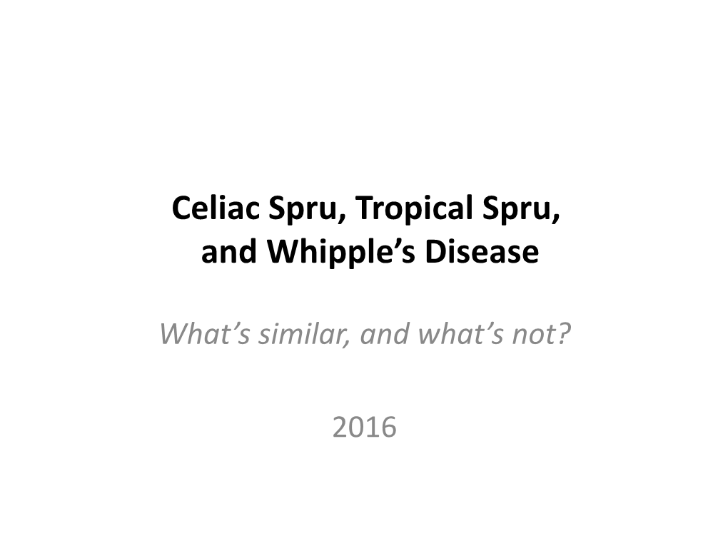 Celiac Spru, Tropical Spru, and Whipple's Disease