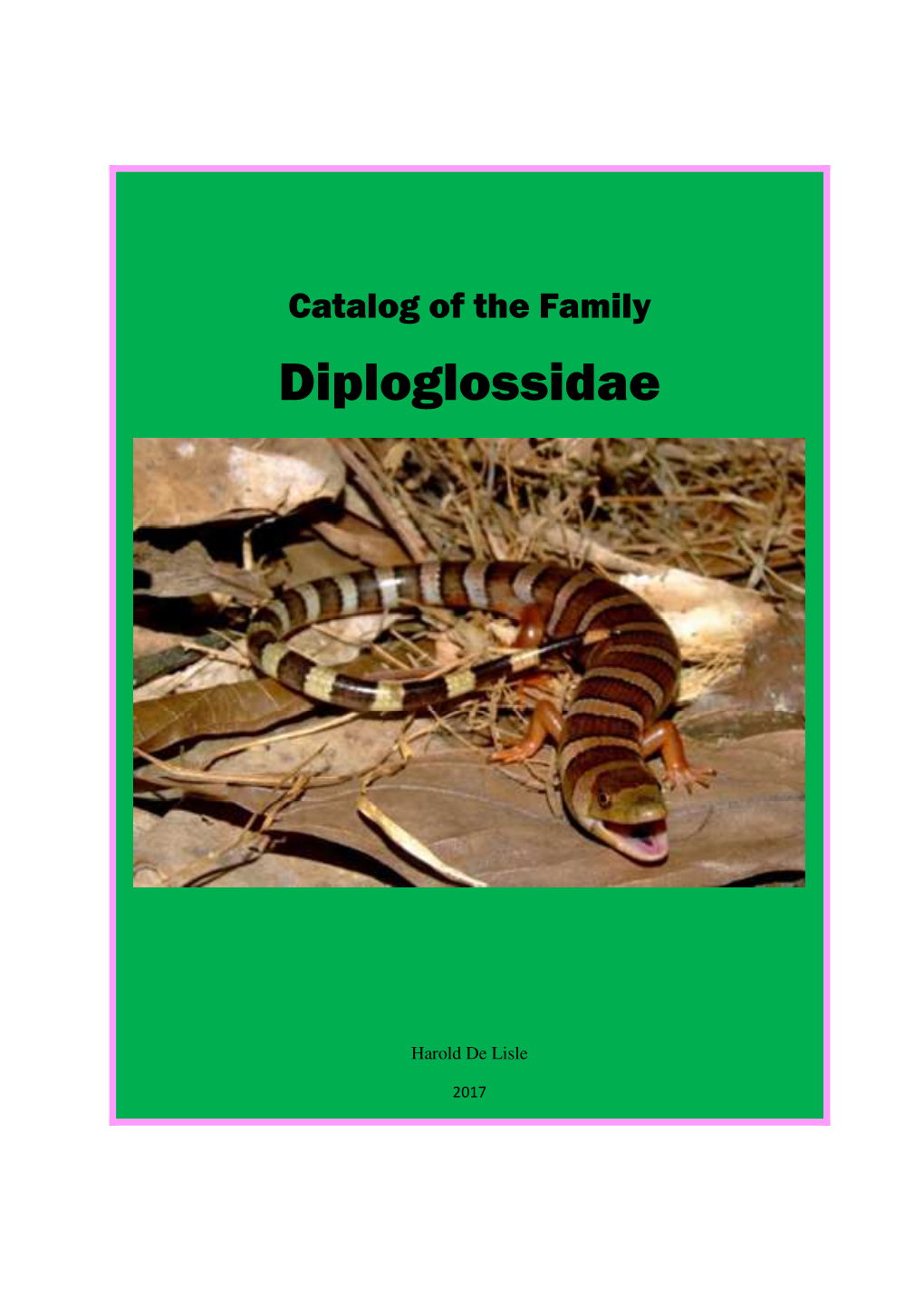 Family Diploglossidae 4-19