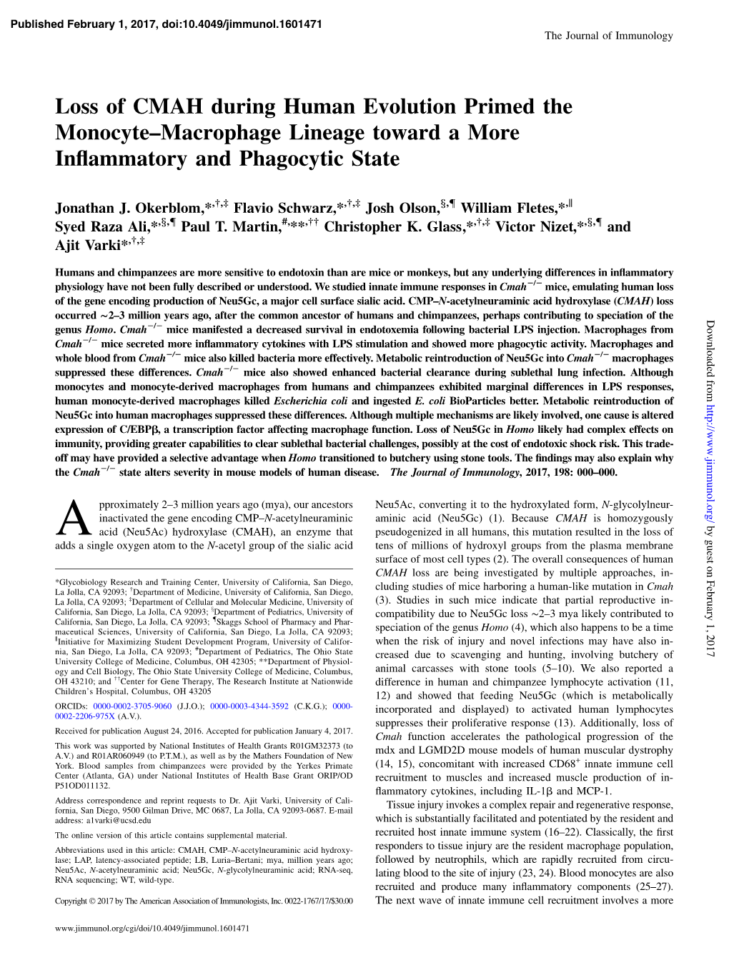 Loss of CMAH During Human Evolution Primed the Monocyte–Macrophage Lineage Toward a More Inﬂammatory and Phagocytic State