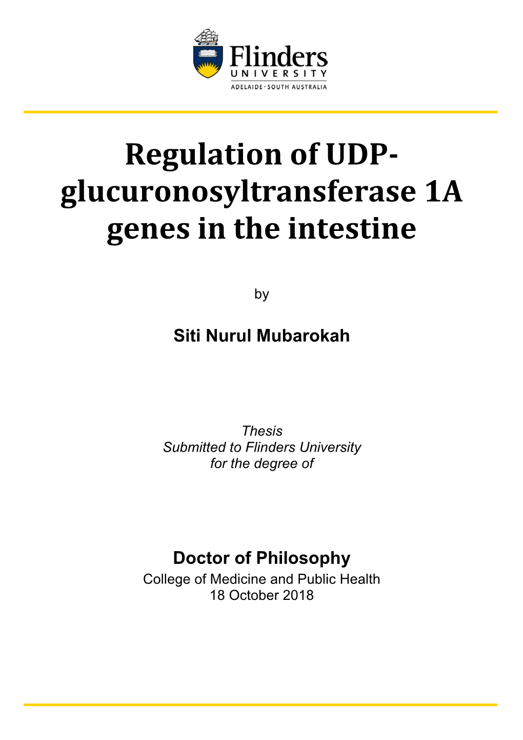 Regulation of UDP- Glucuronosyltransferase 1A Genes in the Intestine