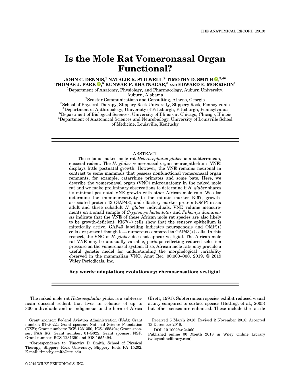 Is the Mole Rat Vomeronasal Organ Functional?