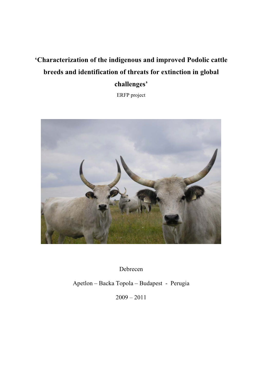 'Characterization of the Indigenous and Improved Podolic Cattle Breeds