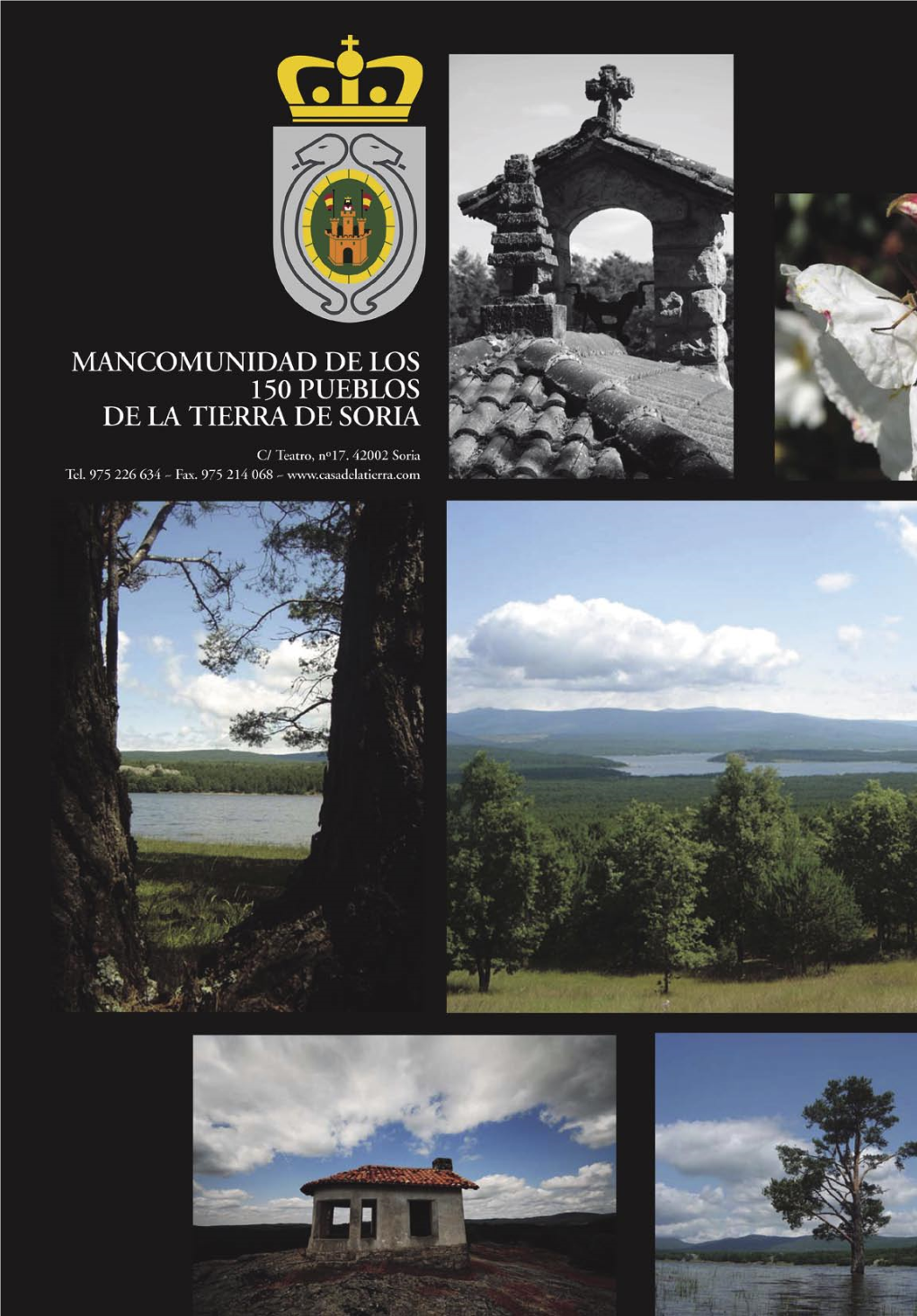 Los Montes De Valsaín, En La Provincia De Segovia, Son De Titularidad Pública Y Un Ejemplo Desde Hace Siglos De Gestión Forestal Ordenada, Compatible Y Sostenible