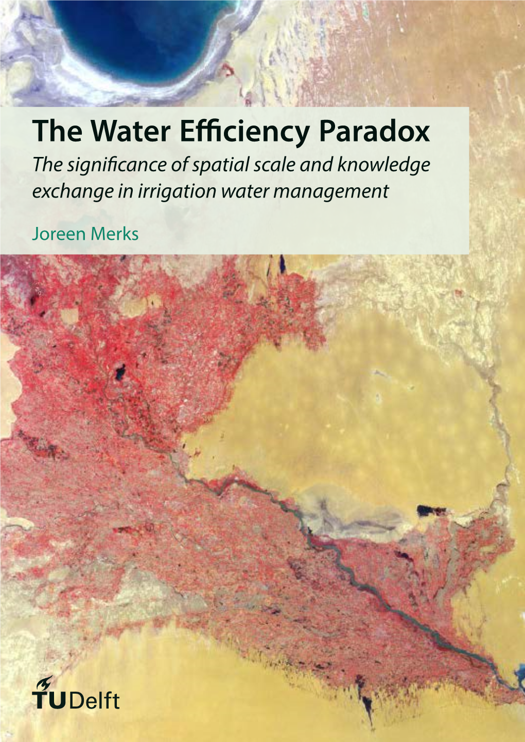The Water Efficiency Paradox the Significance of Spatial Scale and Knowledge Exchange in Irrigation Water Management