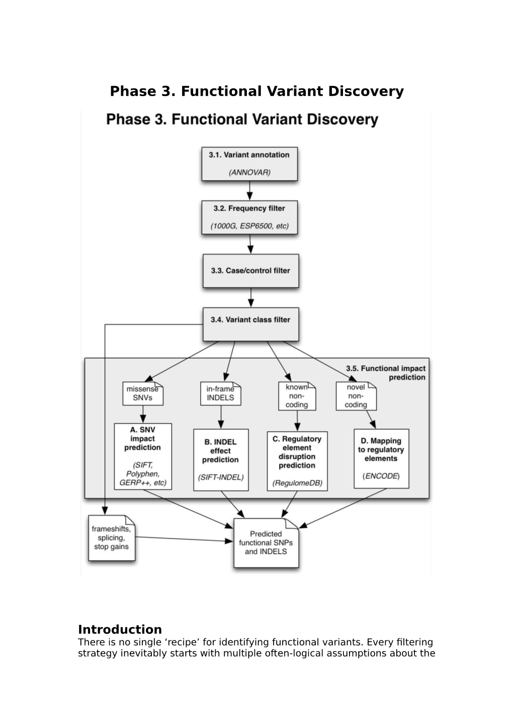 Phase 3. Functional Variant Discovery