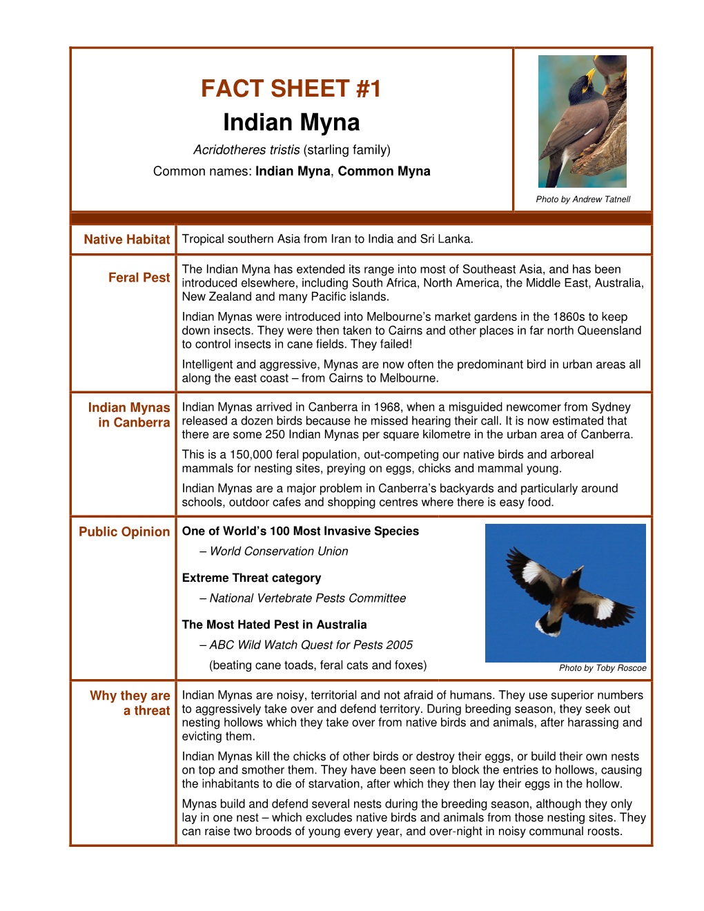 FACT SHEET #1 Indian Myna Acridotheres Tristis (Starling Family) Common Names: Indian Myna , Common Myna