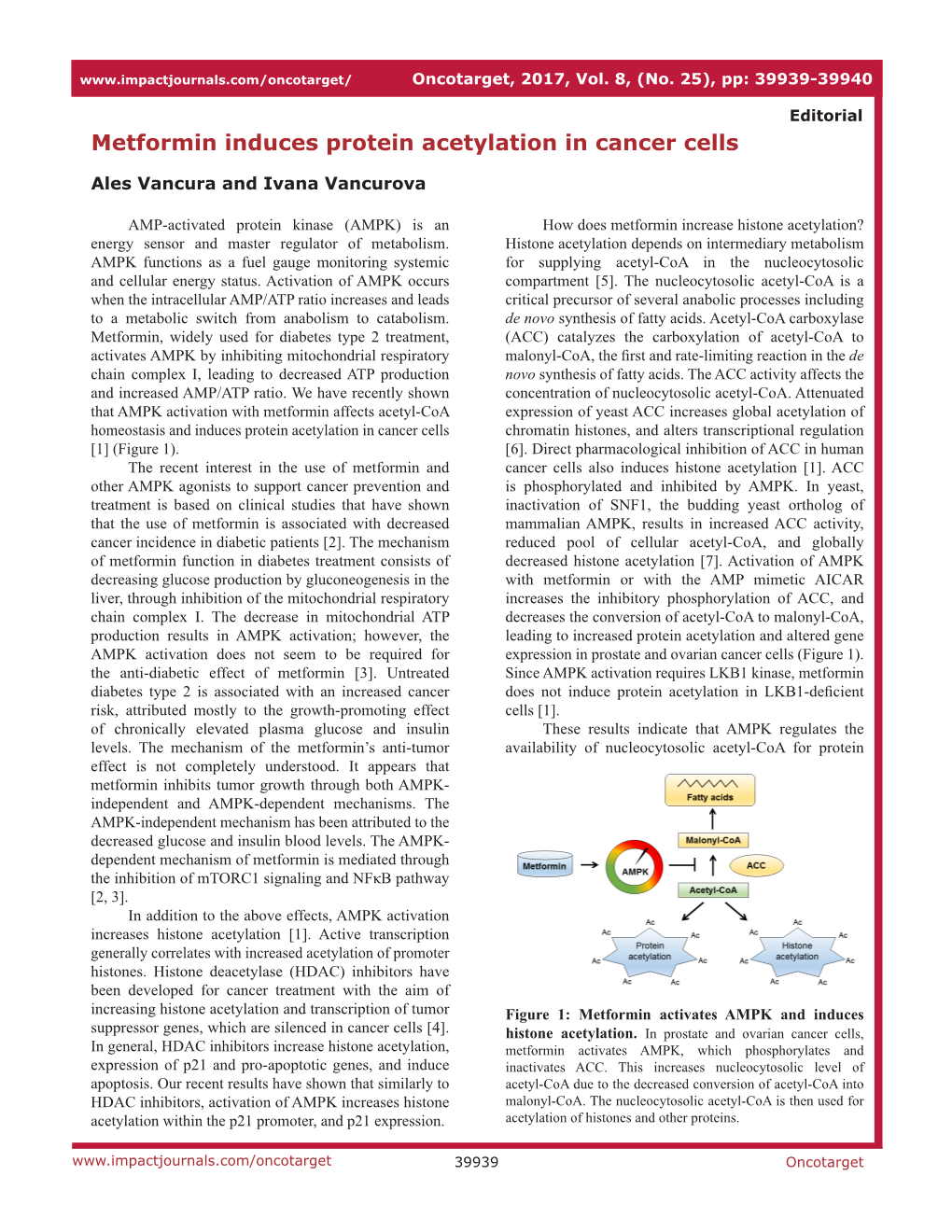 Metformin Induces Protein Acetylation in Cancer Cells