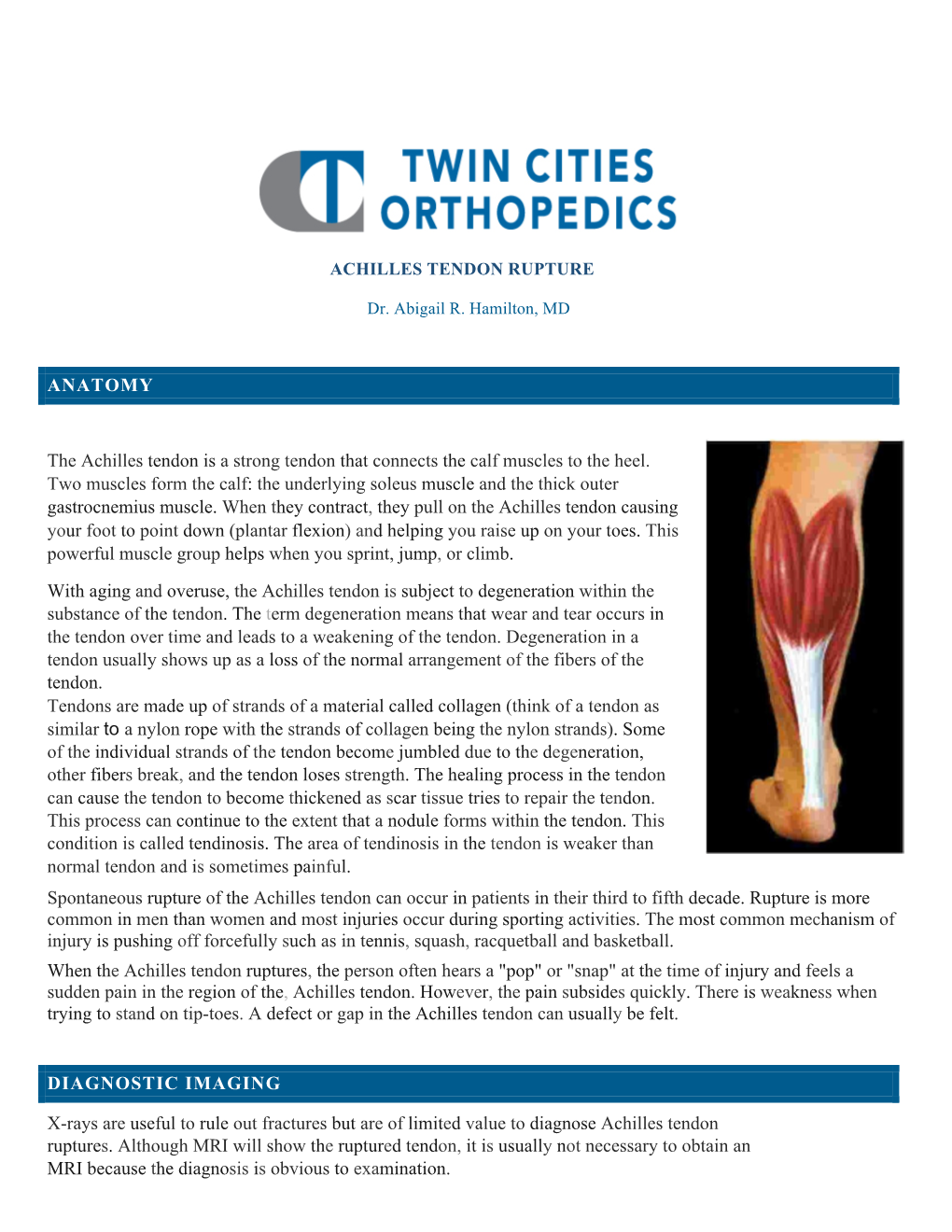 ANATOMY the Achilles Tendon Is a Strong Tendon That Connects the Calf