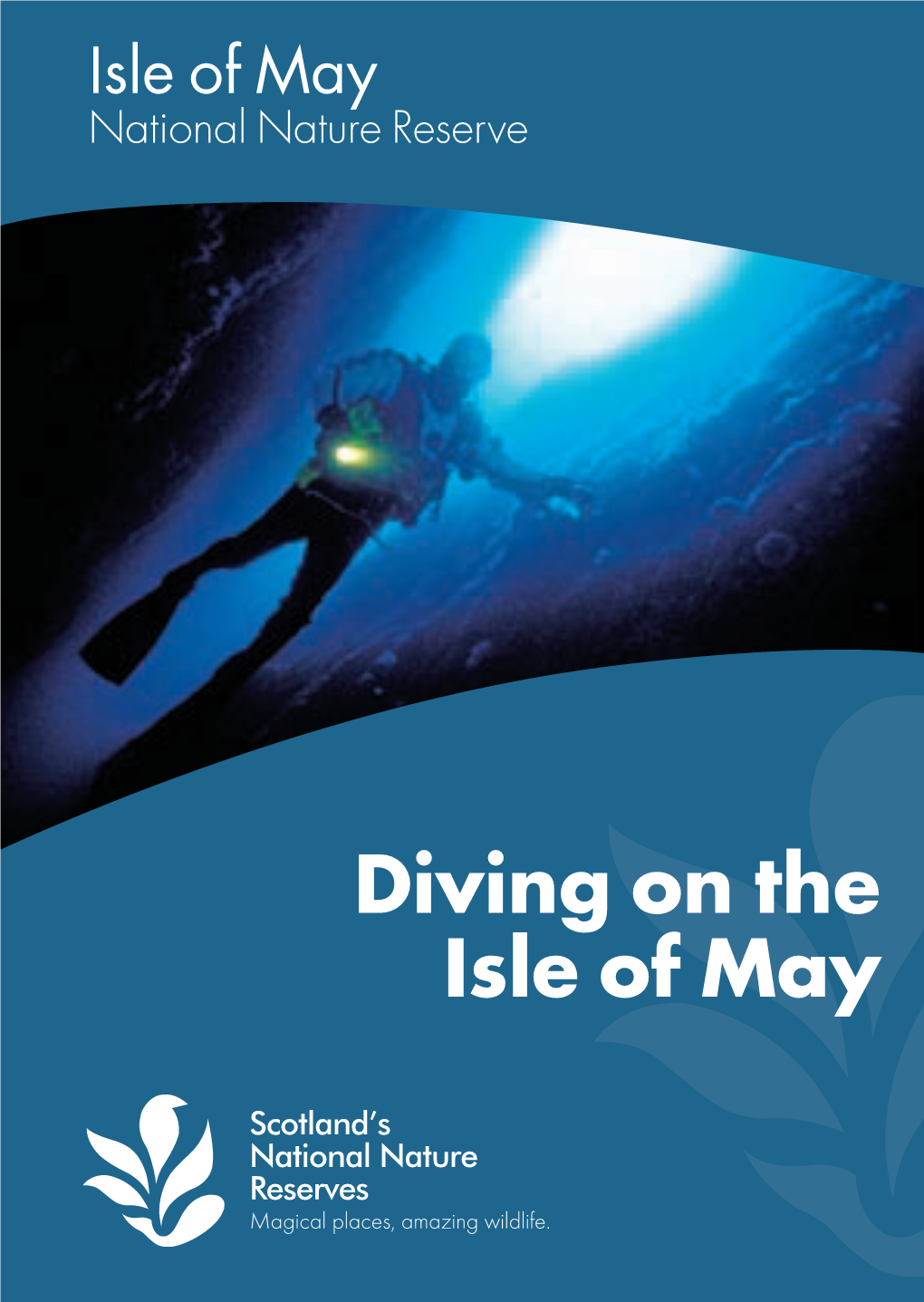 Diving on the Isle of May 2