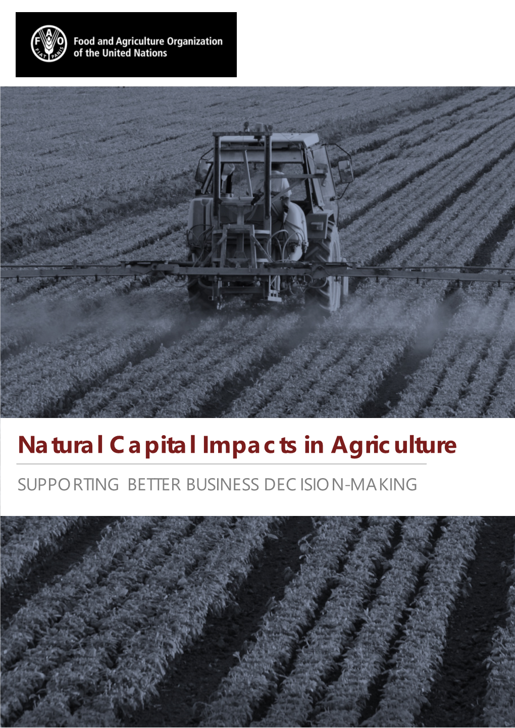 Natural Capital Impacts in Agriculture