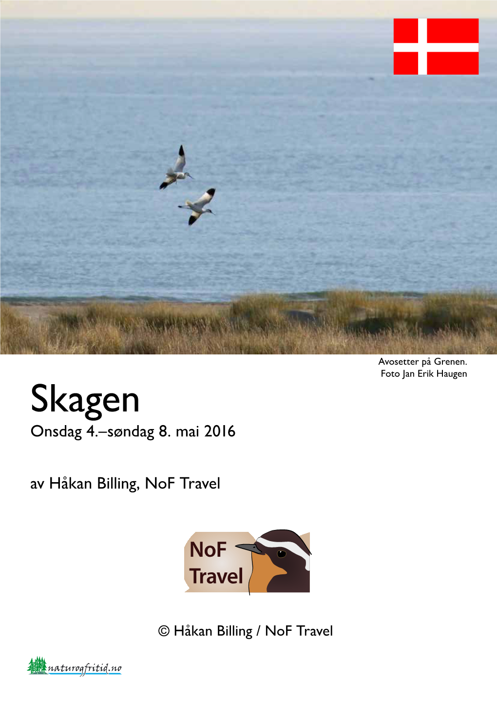 Skagen Onsdag 4.–Søndag 8