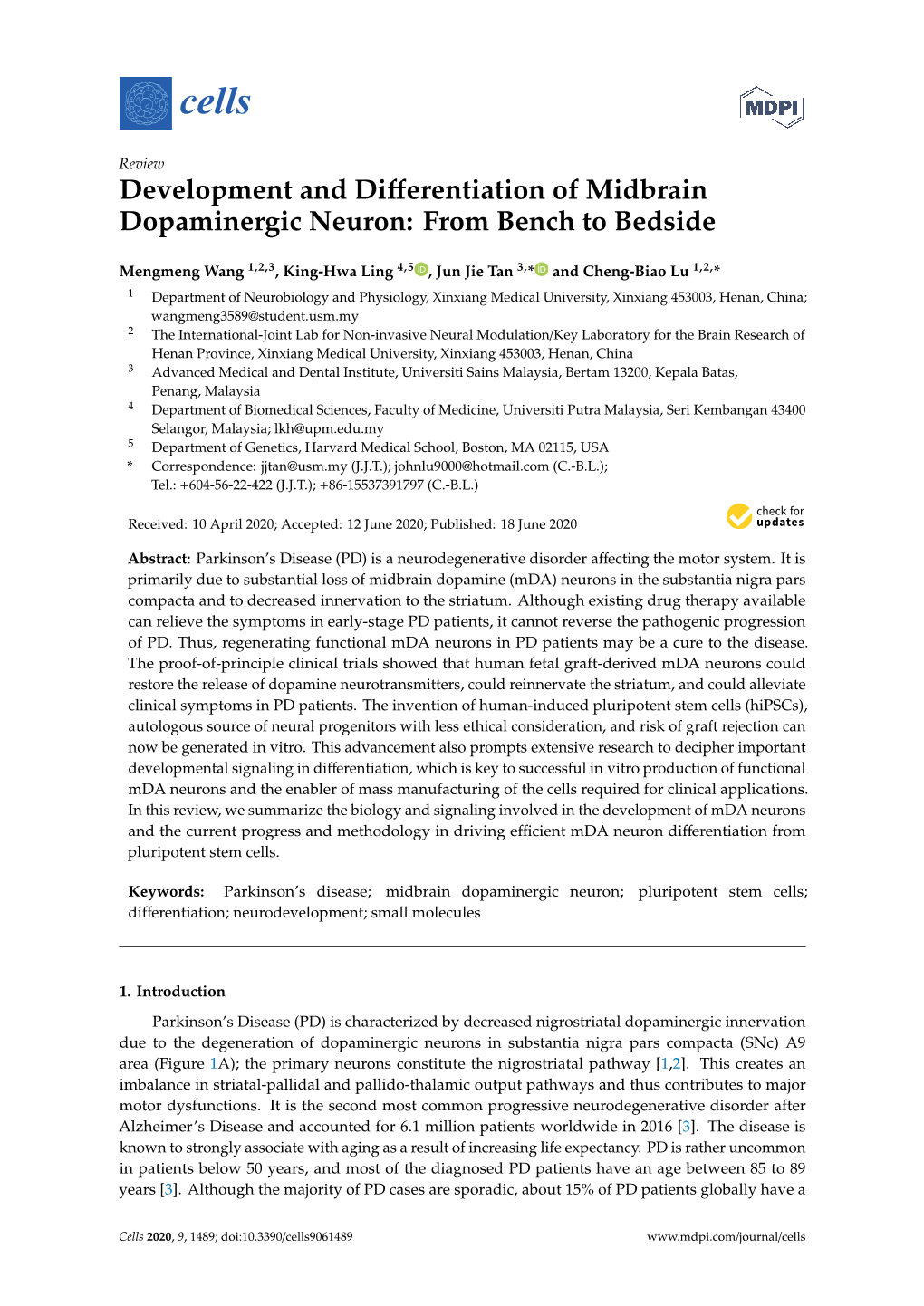 Development and Differentiation of Midbrain Dopaminergic