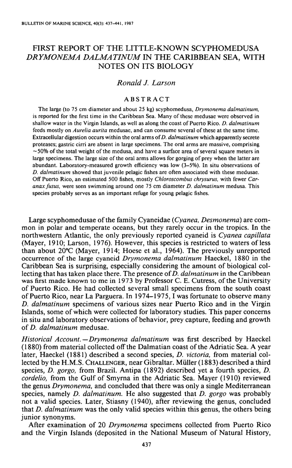 First Report of the Little-Known Scyphomedusa <I>Drymonema Dalmatinum</I> in the Caribbean Sea, with Notes on Its Bi