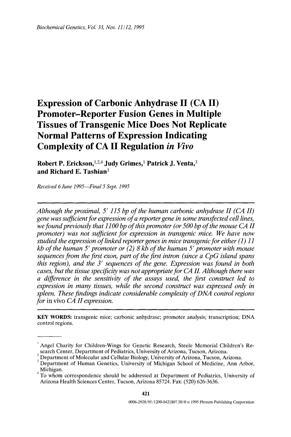 Expression of Carbonic Anhydrase II