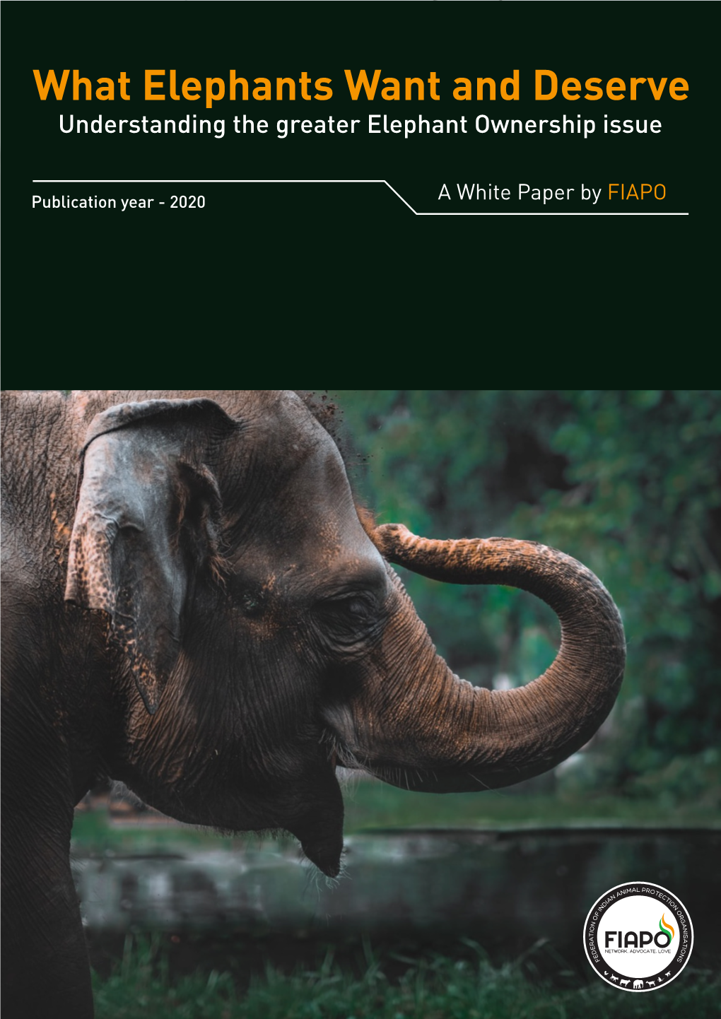 White Paper- Elephant Rights.Cdr