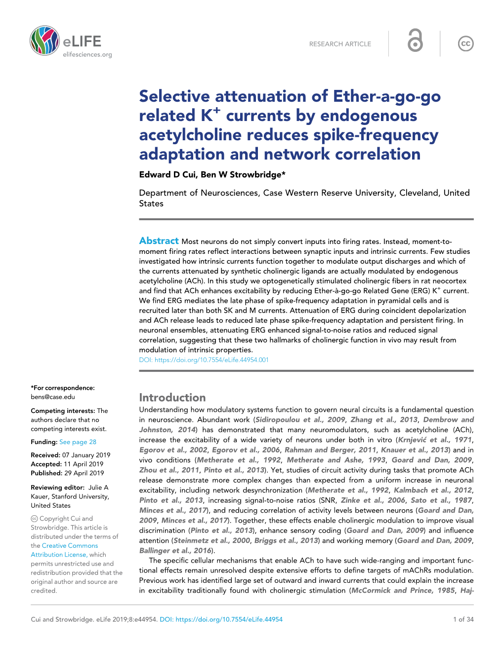 Currents by Endogenous Acetylcholine Reduces Spike-Frequency Adaptation and Network Correlation Edward D Cui, Ben W Strowbridge*