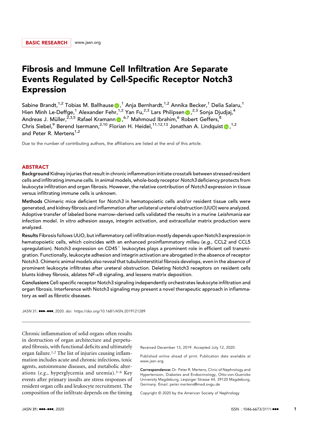 Fibrosis and Immune Cell Infiltration Are Separate Events Regulated By