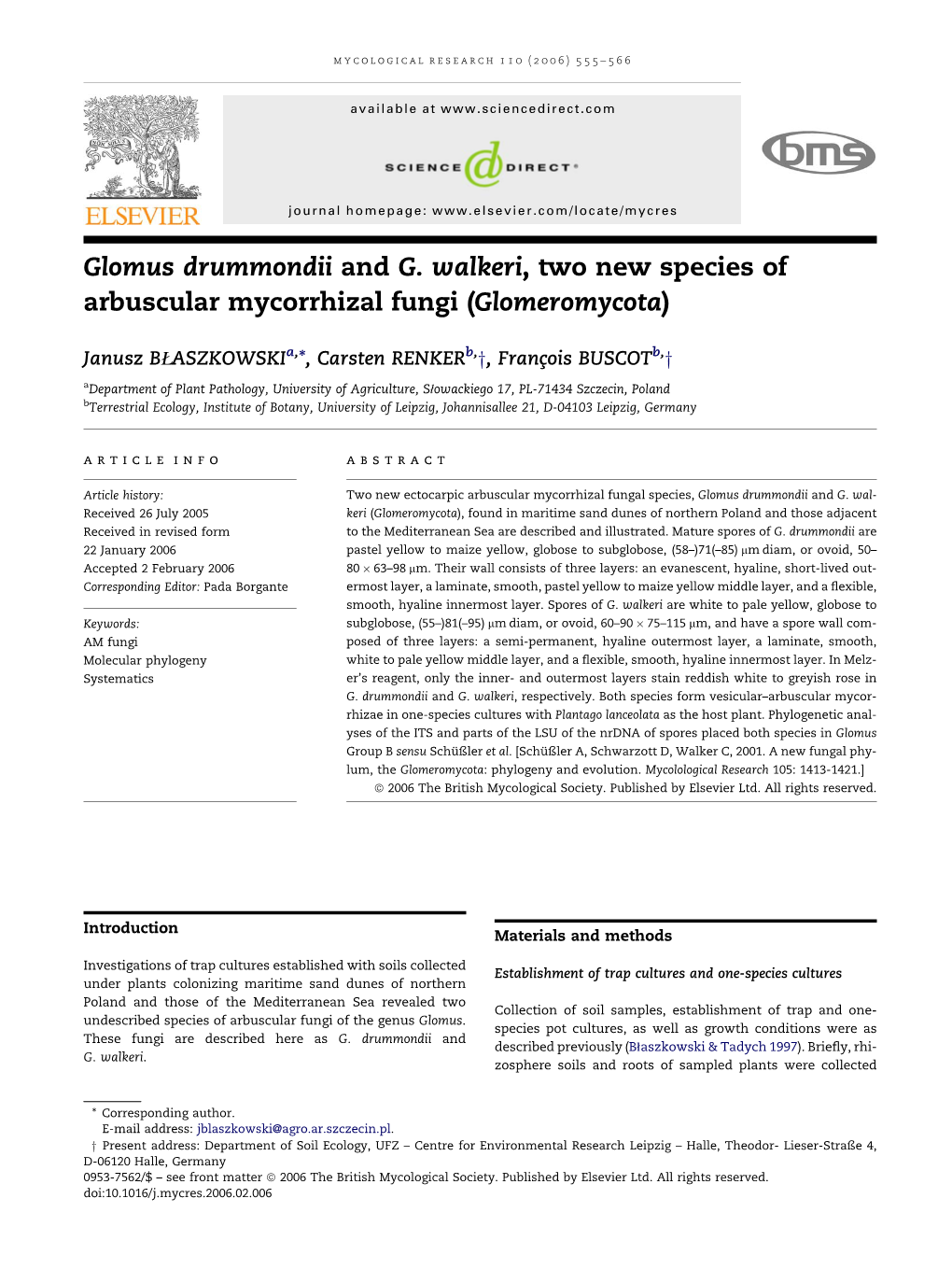 Glomus Drummondii and G. Walkeri, Two New Species of Arbuscular Mycorrhizal Fungi (Glomeromycota)
