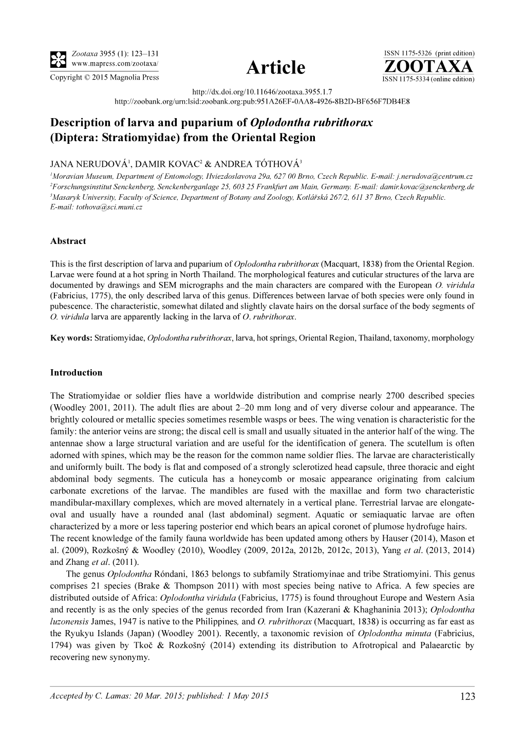 Description of Larva and Puparium of Oplodontha Rubrithorax (Diptera: Stratiomyidae) from the Oriental Region