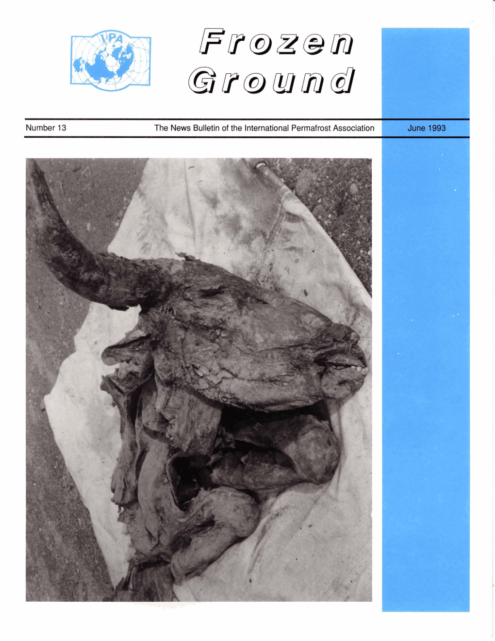 Number 13 the News Bulletin of the International Permafrost Association International Permafrost Association